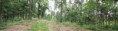 /album/panorama/dscf3399-jpg/